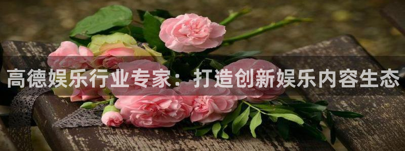米乐yy易游m6：高德娱乐行业专家：打造创新娱乐内容生态