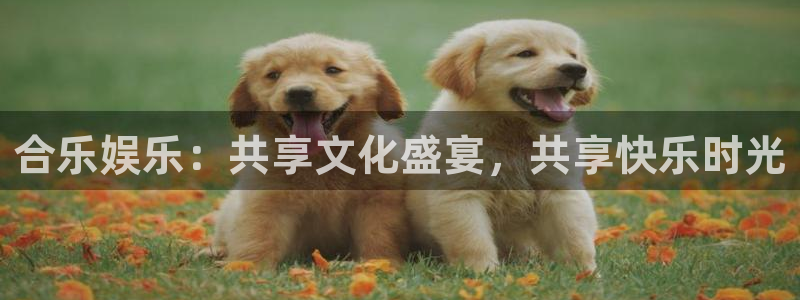yy易游平台：合乐娱乐：共享文化盛宴，共享快乐时光