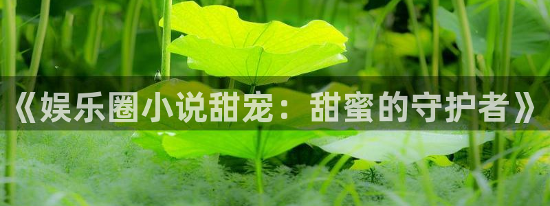 yy易游：《娱乐圈小说甜宠：甜蜜的守护者》