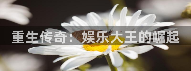 yy易游：重生传奇：娱乐大王的崛起