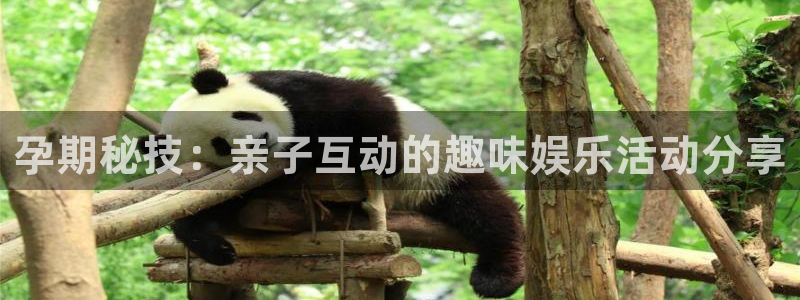 米乐yy易游m6：孕期秘技：亲子互动的趣味娱乐活动分享