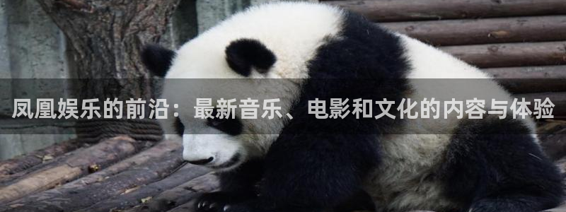 yy易游平台：凤凰娱乐的前沿：最新音乐、电影和文化的内容与体验