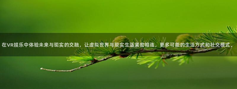 upload/20250701114914.jpg